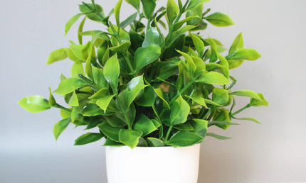 Plantă artificială în ghiveci