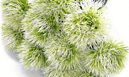 Set 10 Flori Decorative Artificiale Păpădie – Decor Versatil pentru Nunți, Casă și Grădină, Ușor de Întreținut